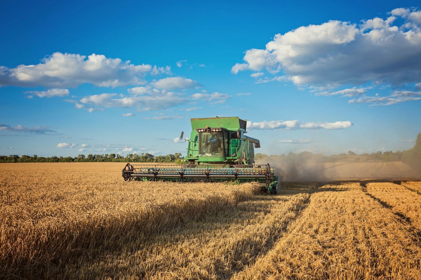 Divulgação: Agro