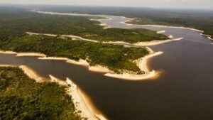 Amazonia - Fonte: Google