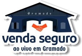 Venda Seguro Ao Vivo em Gramado