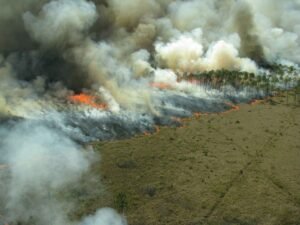 Incêndio (Imagem)