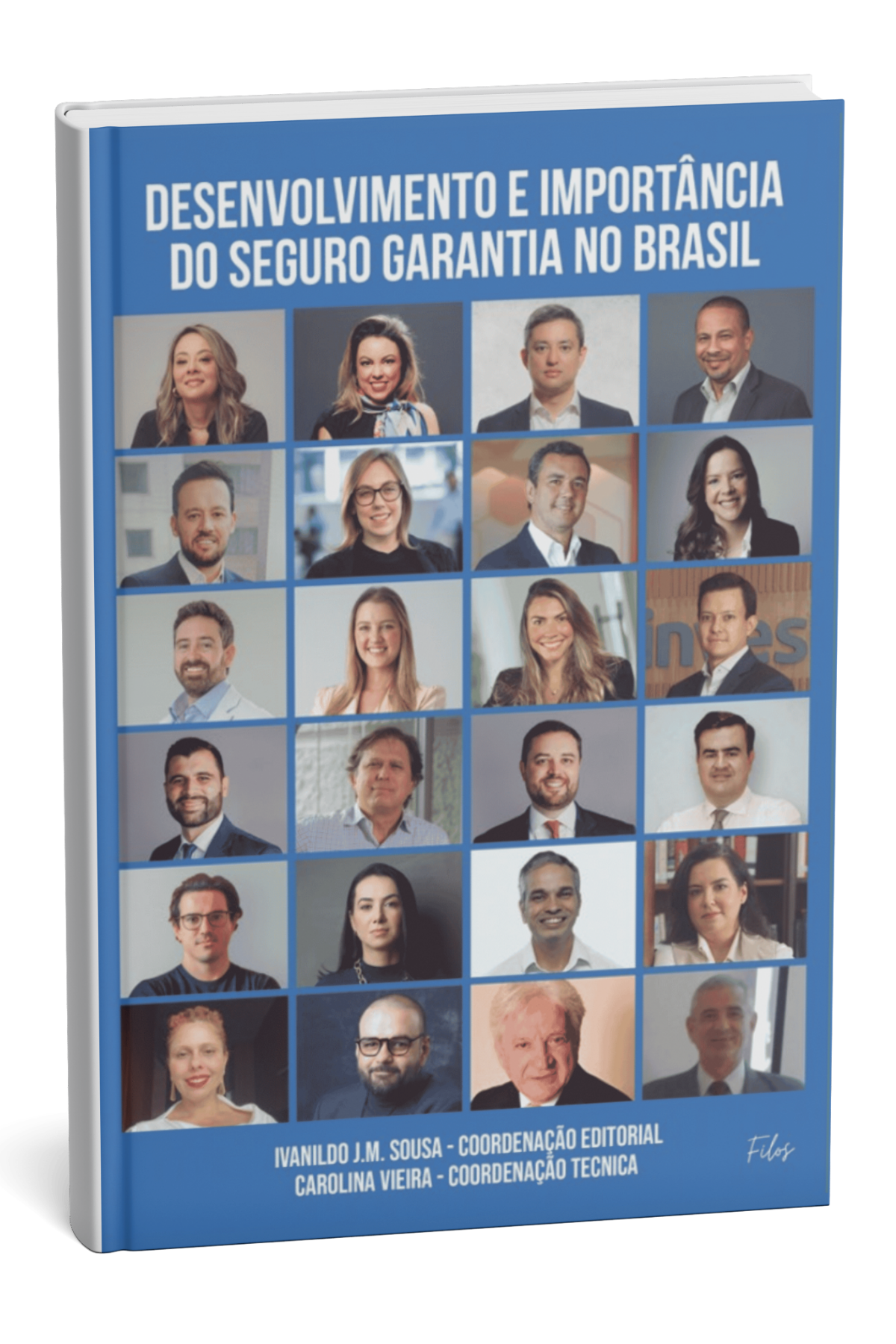 Desenvolvimento e Importância do Seguro Garantia no Brasil