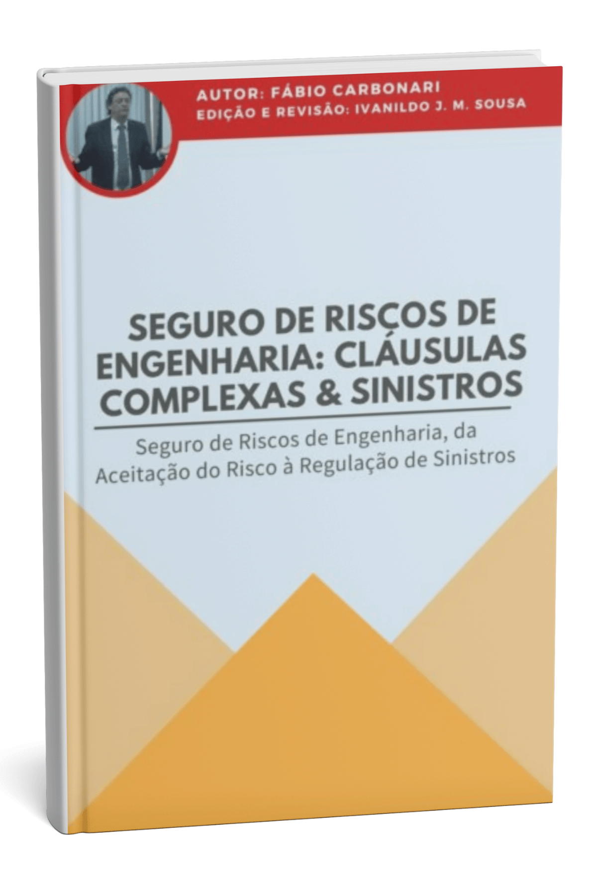 eguro de Riscos de Engenharia - Cláusulas Complexas e Sinistros